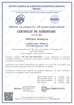 certificate 13