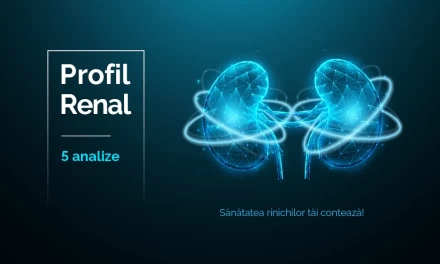 Profil Renal