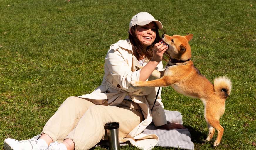 Pachet profilactic parazitologic (adulți)