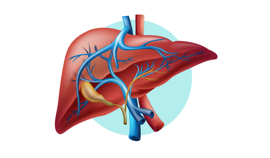 Profil Pancreato-hepatic